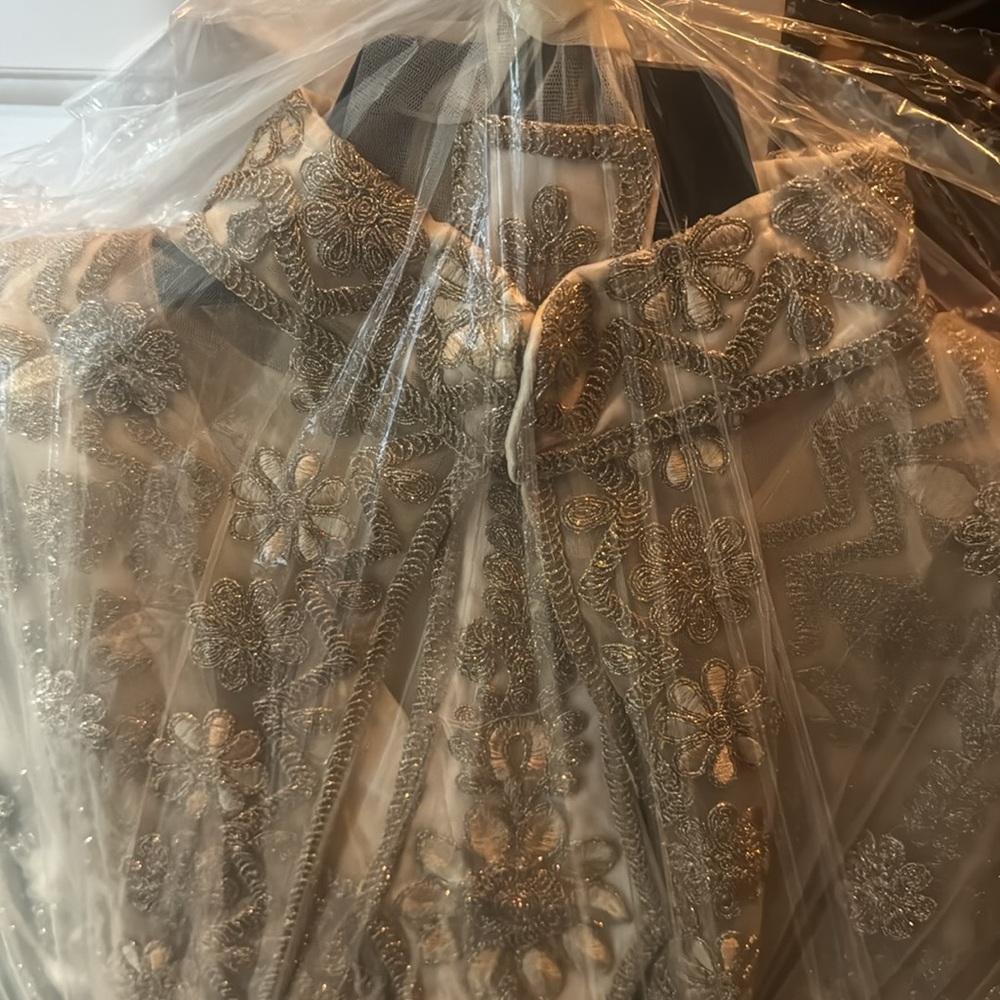 Embroidered Ivory and Gold Sheer Overlay Dress - Picture 3 of 6